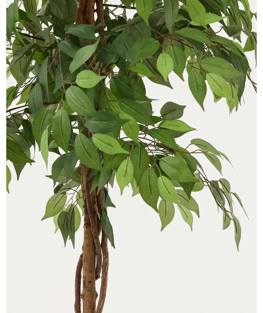 Umelý fikus (výška 180 cm) Ficus – Kave Home