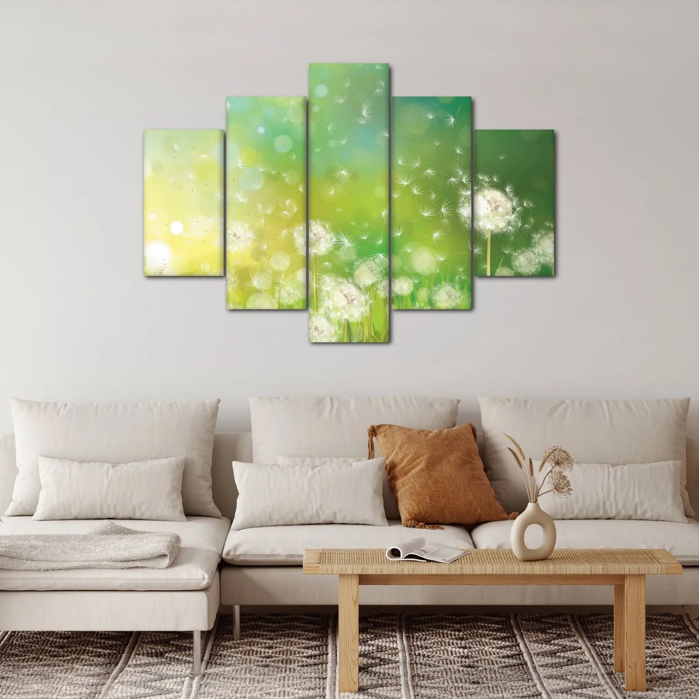 Obraz - Odkvitnuté púpavy (150x105 cm)