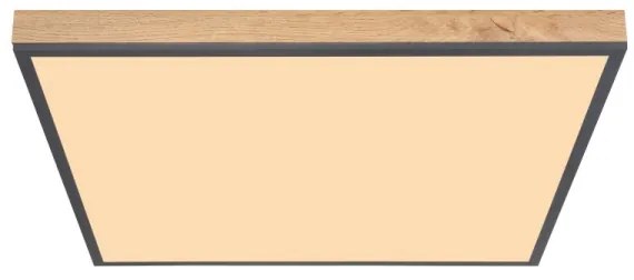 Globo 416080WD3 - LED Stropné svietidlo DORO LED/36W/230V