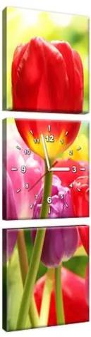 Obraz s hodinami Žltý tulipán 30x90cm ZP1255A_3V