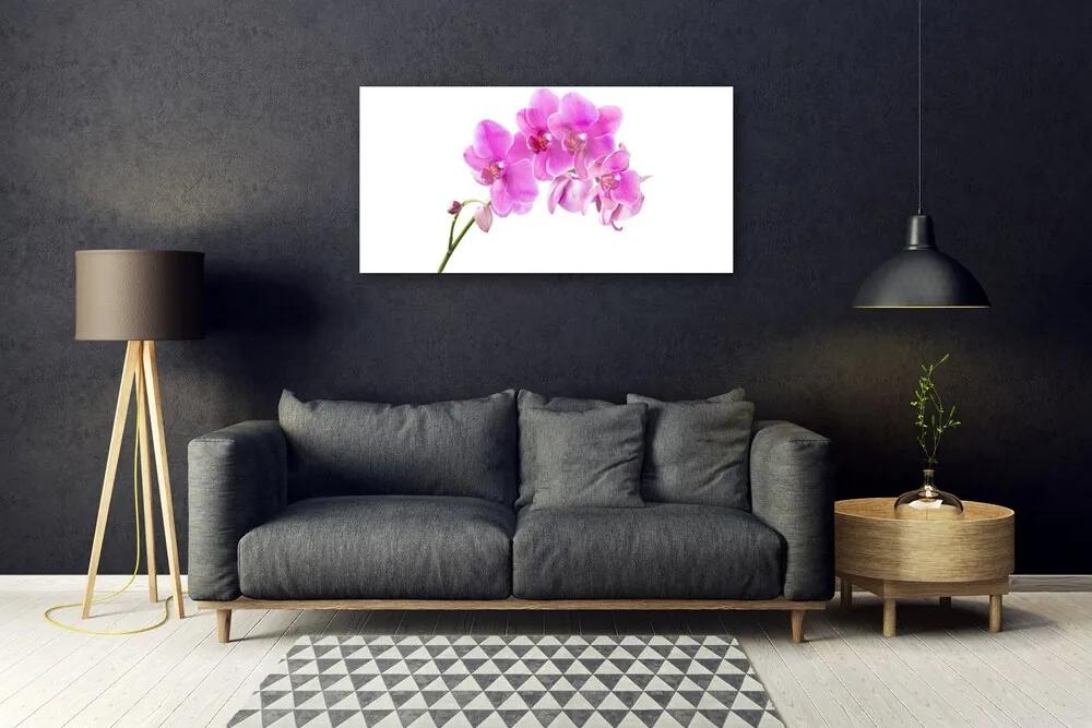 Skleneny obraz Vstavač kvet orchidea 140x70 cm