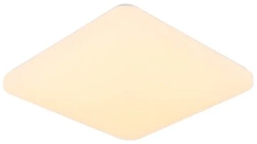 LED Stmievateľné stropné svietidlo s hlasovým ovládaním OPAL LED/48W/230V + DO