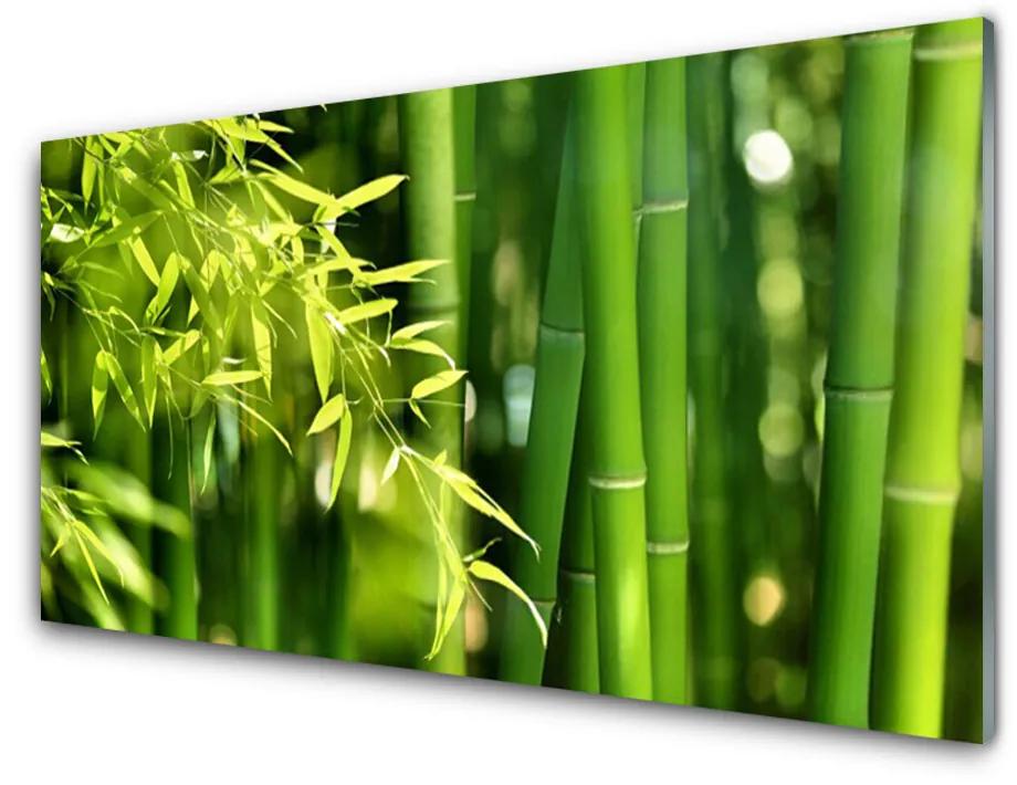 Skleneny obraz Bambus listy rastlina 120x60 cm