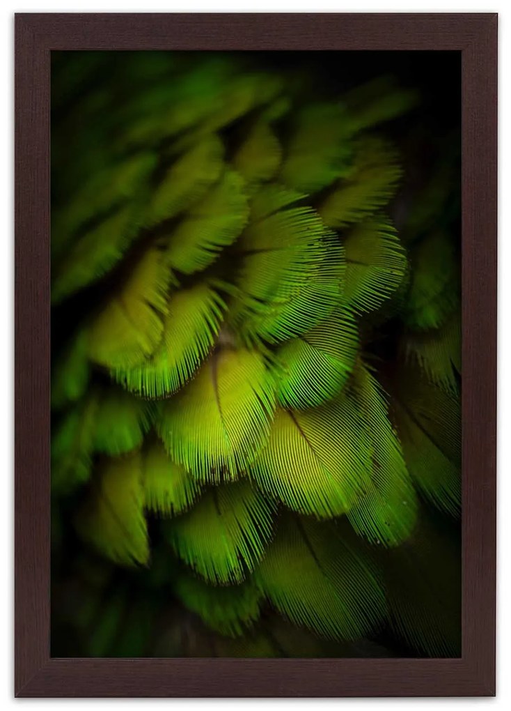 Gario Plagát Abstrakt zo zeleného peria Farba rámu: Čierna, Rozmery: 70 x 100 cm