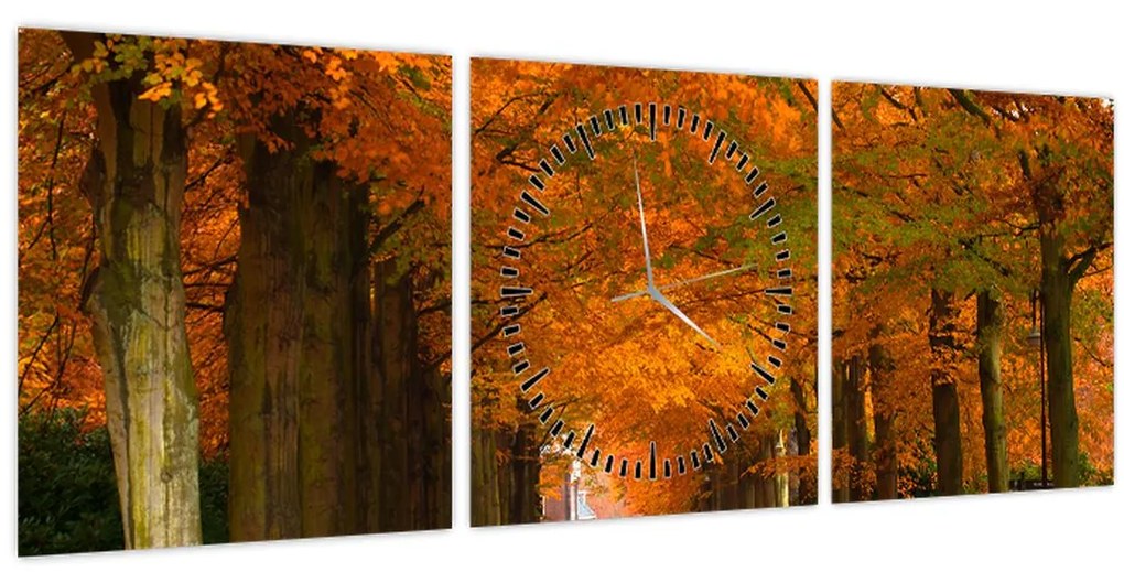 Obraz - Jeseň Alej stromov (s hodinami) (90x30 cm)
