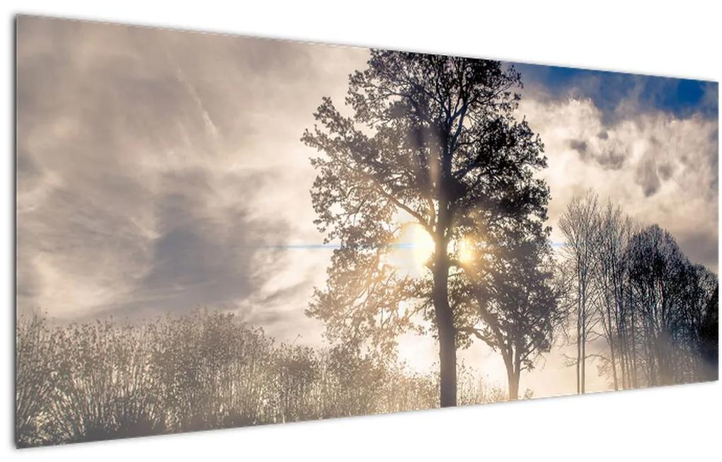 Obraz stromu v hmle (120x50 cm)