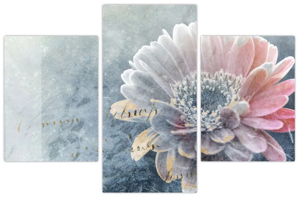 Obraz - Zimný kvet (90x60 cm)