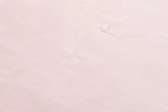Koberec RABBIT FUR ružový