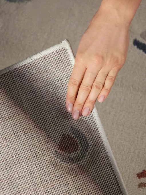 Koberec Hanse Home ADVENTURES RAVI krémový