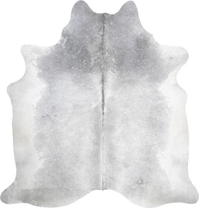 Koberec z hovädzej kože Grey Cow - 150 * 250 * 0,3 cm