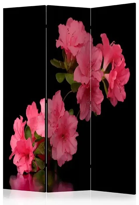 Paraván - Azalea in Black [Room Dividers] Veľkosť: 135x172, Verzia: Akustický