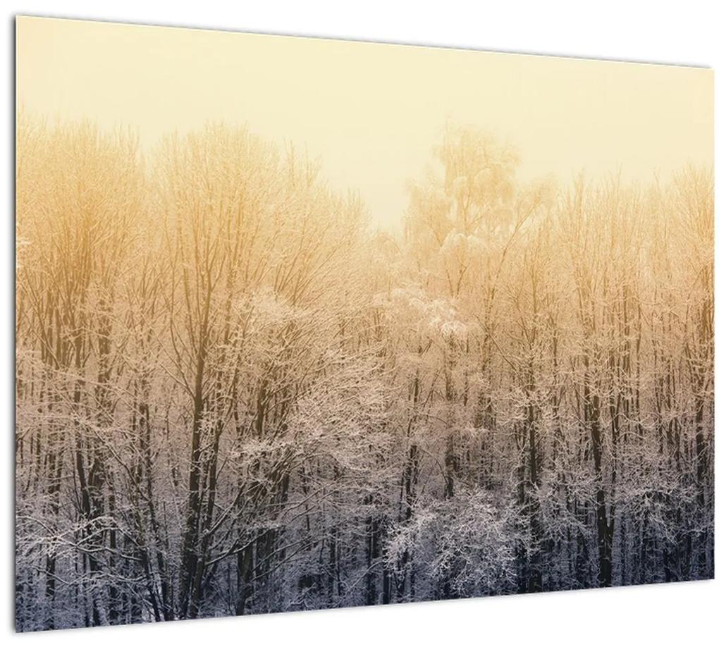 Obraz mrazivého lesa (70x50 cm)