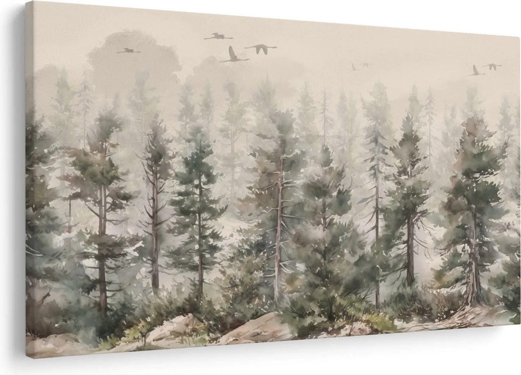 Obraz - Borovicový les I., aquarel (90x60 cm)