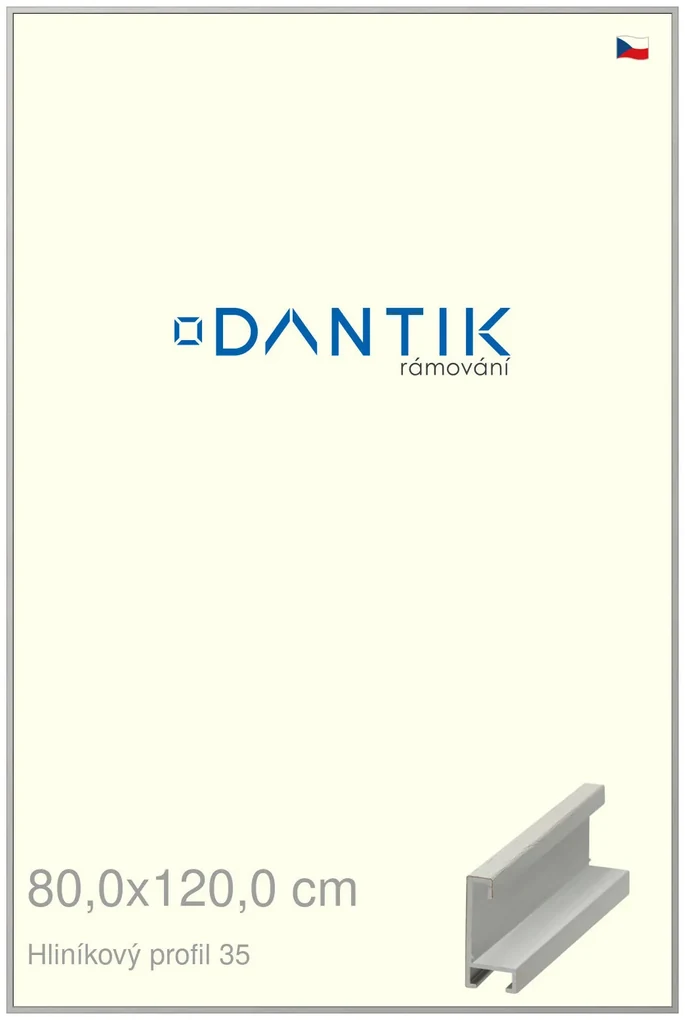 DANTIK rám na obraz 80x120 | ALU Dýha barevná šedá (Plexi Čiré)