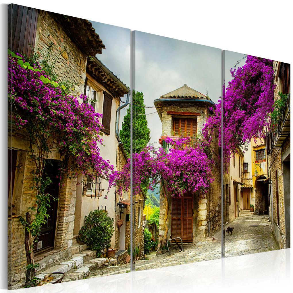 Artgeist Obraz - Charming Alley Veľkosť: 120x80, Verzia: Premium Print