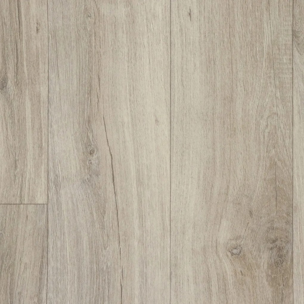 Beauflor, PVC podlaha - lino Texalino Supreme 971L Pristine Oak - dub, na mieru, šíře 2m,3m,4m,5m, šedá, filc, chodba / predsieň