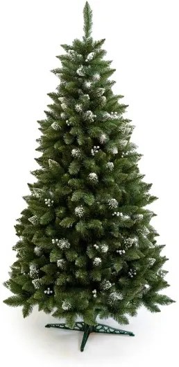 Limpol Vianočný stromček borovica Iza Perla 2,40 m