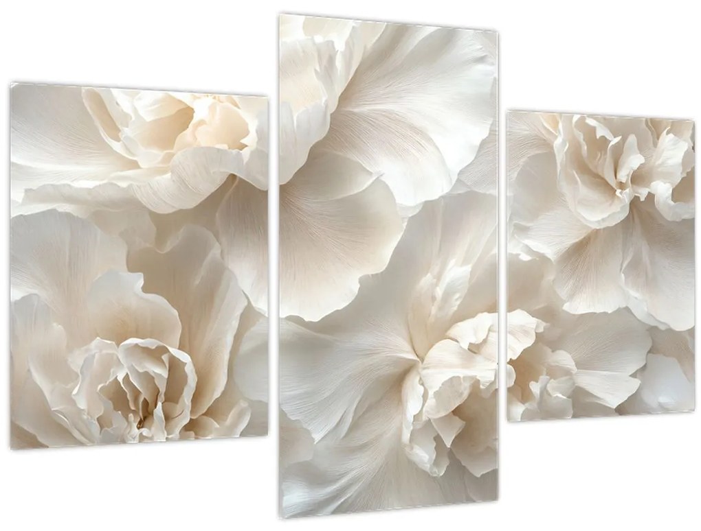 Obraz - Jemné pivonky (90x60 cm)