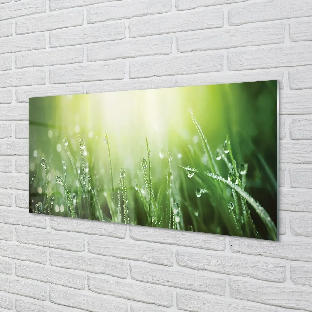 Obraz na skle Tráva slnko kvapky 125x50 cm