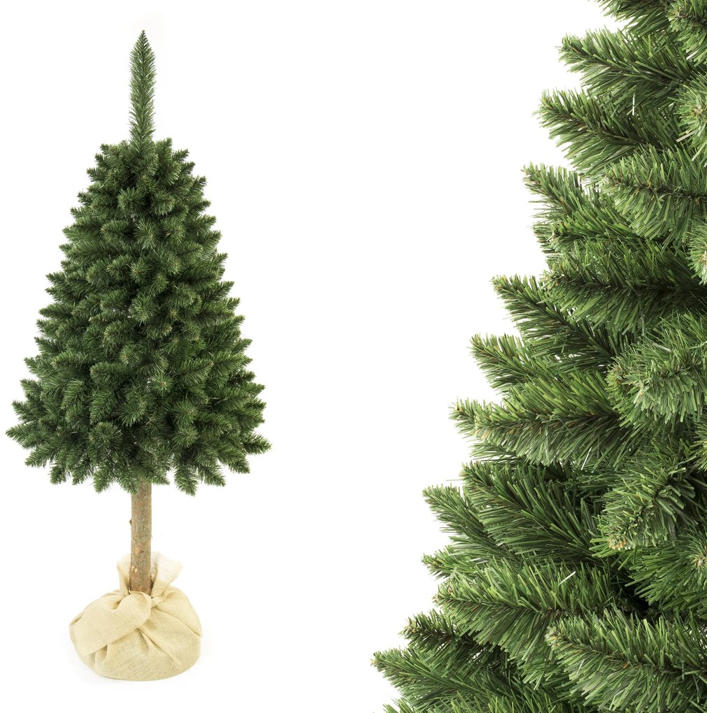 Vianočný stromček Borovica na pníku 220 cm