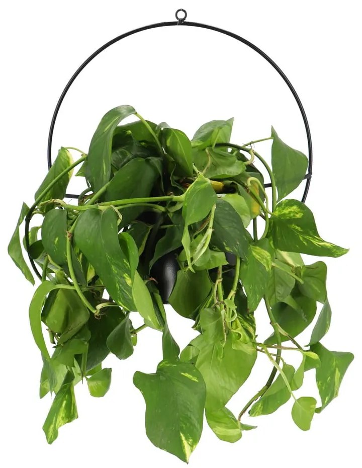 Čierny nástenný držiak na kvetináč Esschert Design Planter