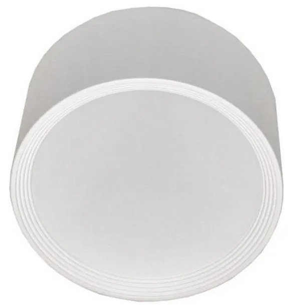 LED Stropné svietidlo PERCI LED/20W/230V IP40 4000K biela