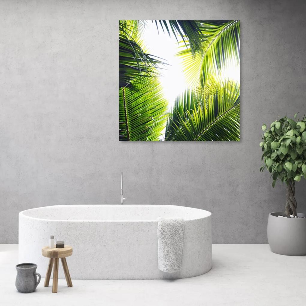 Obraz na plátně, palmové listy - 50x50 cm