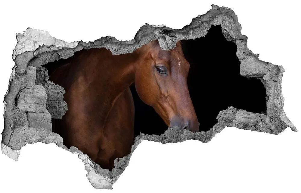 Diera 3D fototapeta na stenu Hnedý kôň nd-b-114030424