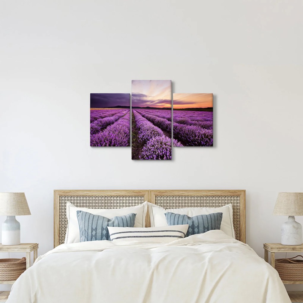 Obraz - Levanduľové pole pri západe slnka (90x60 cm)