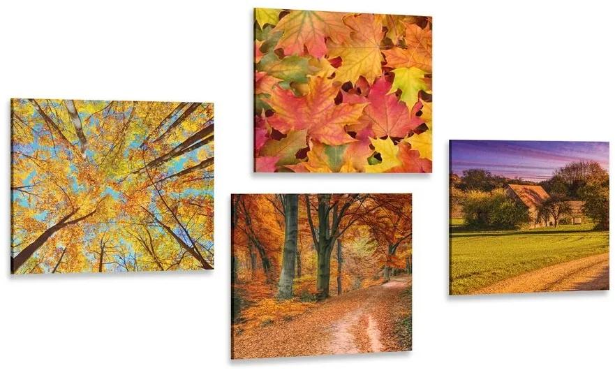 Set obrazov príroda v jesenných farbách - 4x 60x60