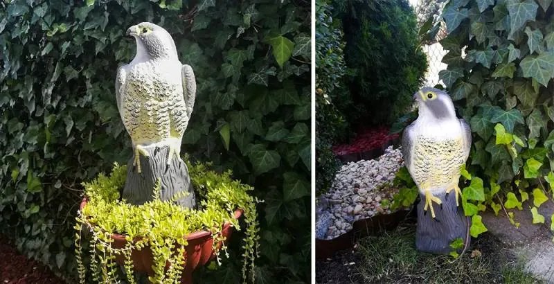 Repest 6240 Odpudzovač holubov a vtákov Sokol 40 cm