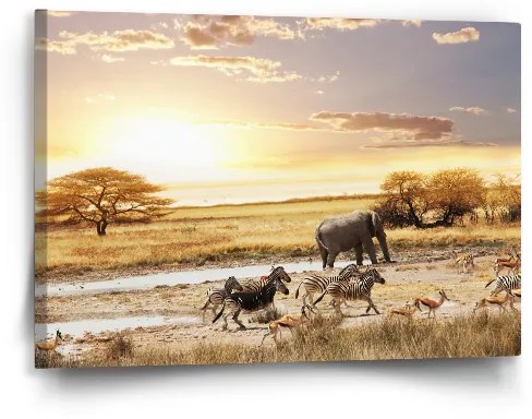 Sablio Obraz Safari - 60x40 cm