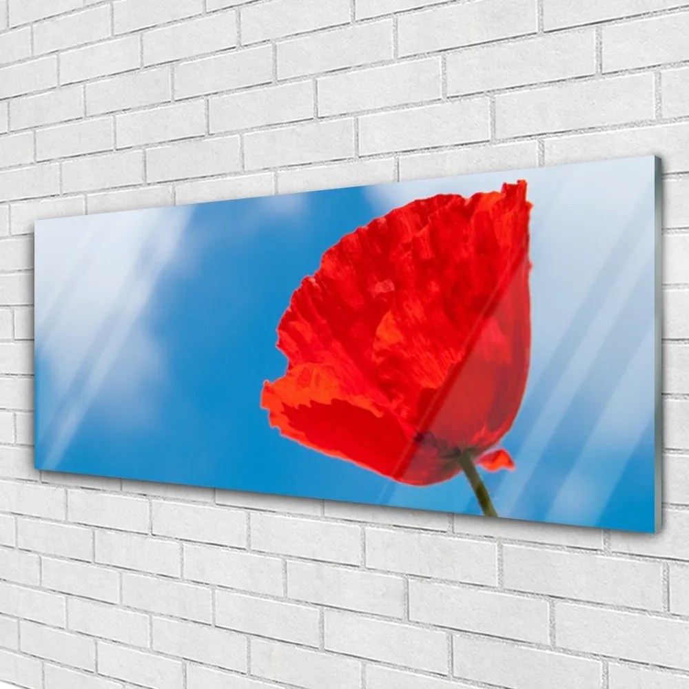 Obraz na akrylátovom skle Tulipán 125x50 cm