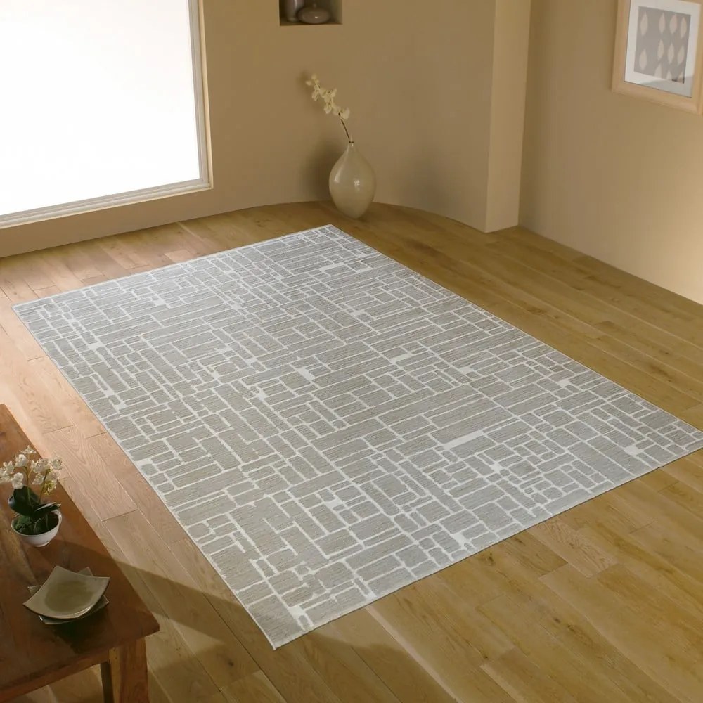 Sivo-béžový koberec 80x150 cm Jaipur – Webtappeti