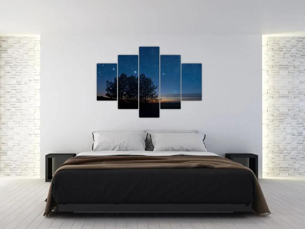 Obraz stromov v noci (150x105 cm)