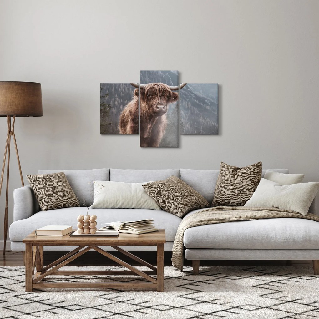 Obraz - Highlander krava (90x60 cm)
