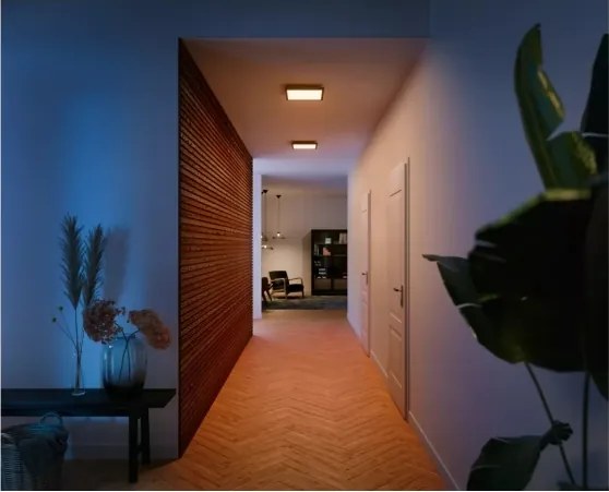 Philips - stmievateľné stropné svietidlo Hue AURELLE LED/19W/230V 30x30 cm čierne