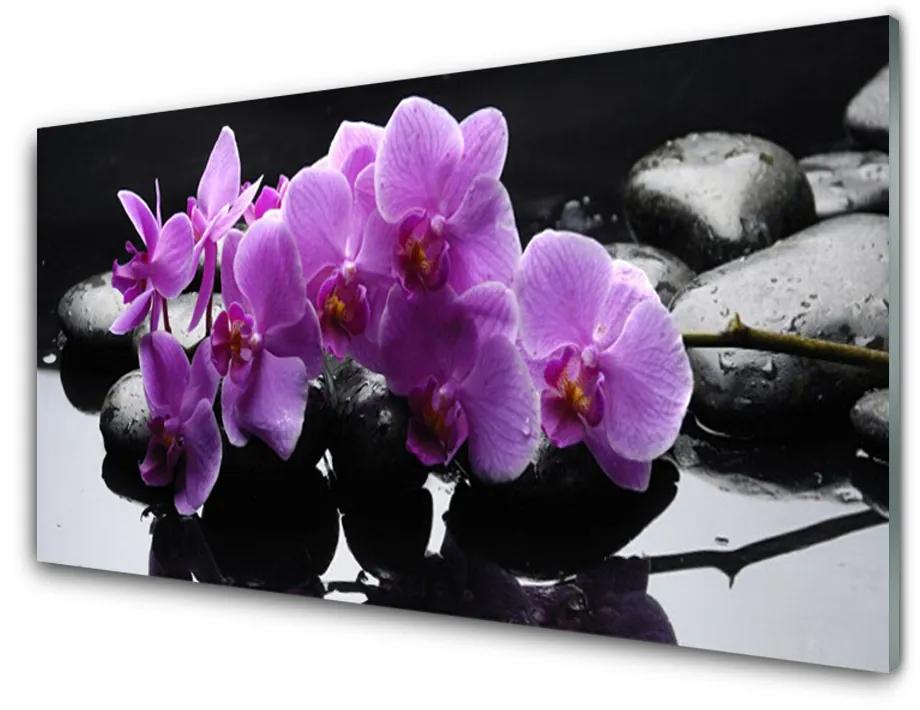 Obraz plexi Kvet kamene rastlina 140x70cm