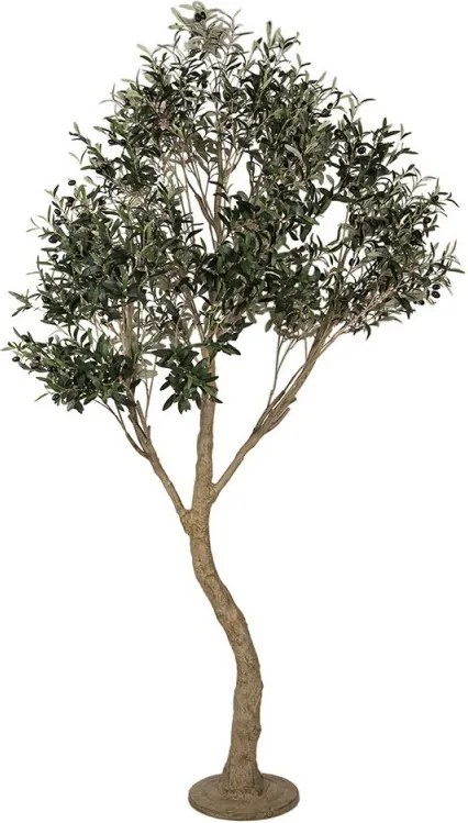 Dekoračný stromček olivovník s olivami Olea Tree - 140*130*250 cm
