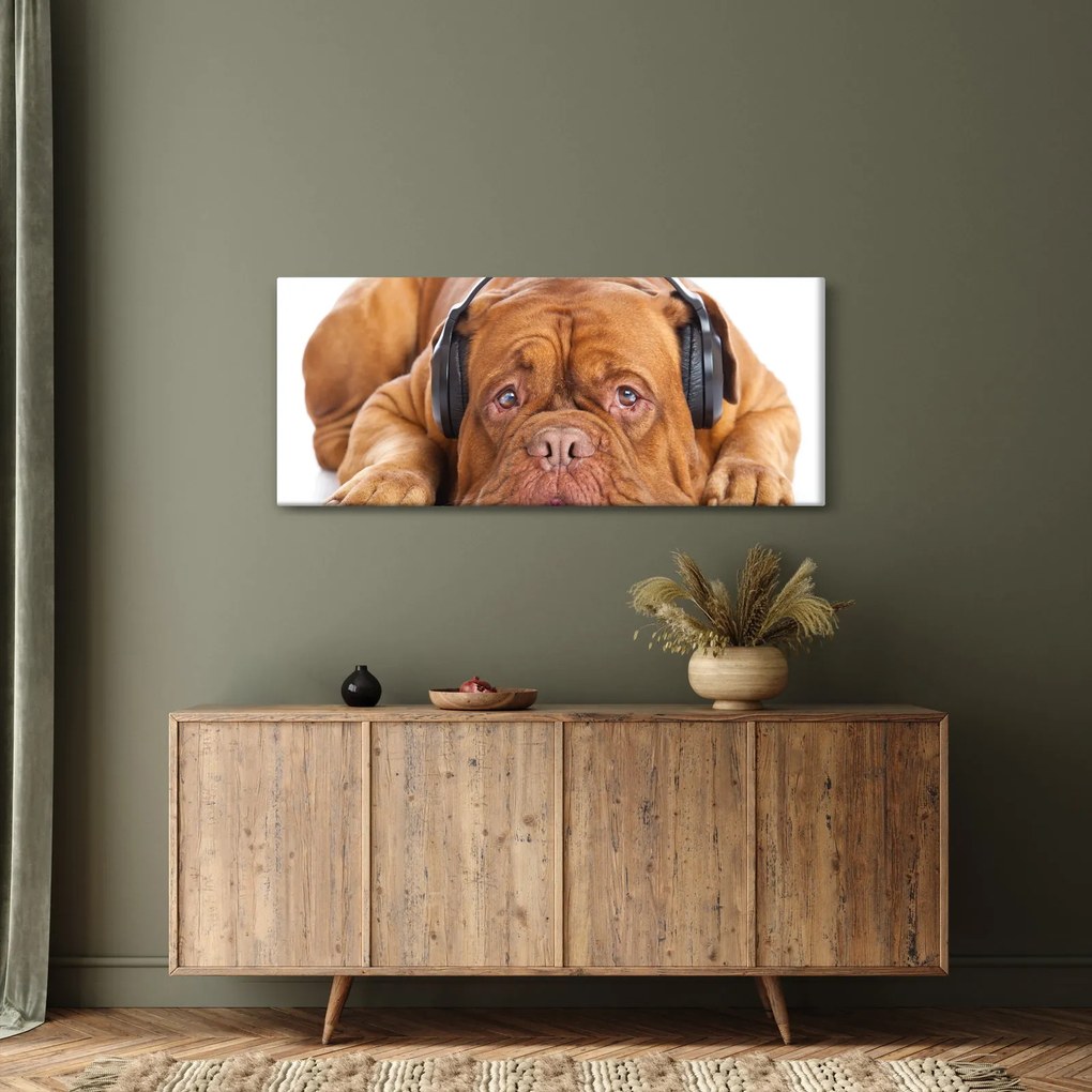 Obraz psa so slúchadlami (120x50 cm)