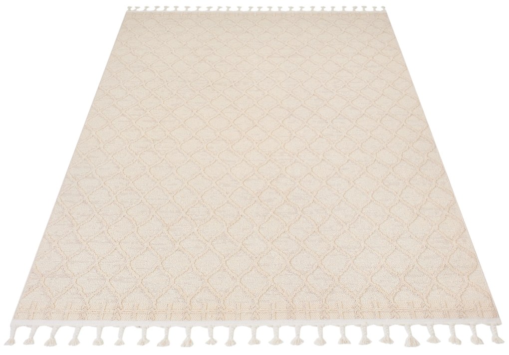 PROXIMA.store - Minimalistický koberec SAGE - RIO LOOP ROZMERY: 160x230