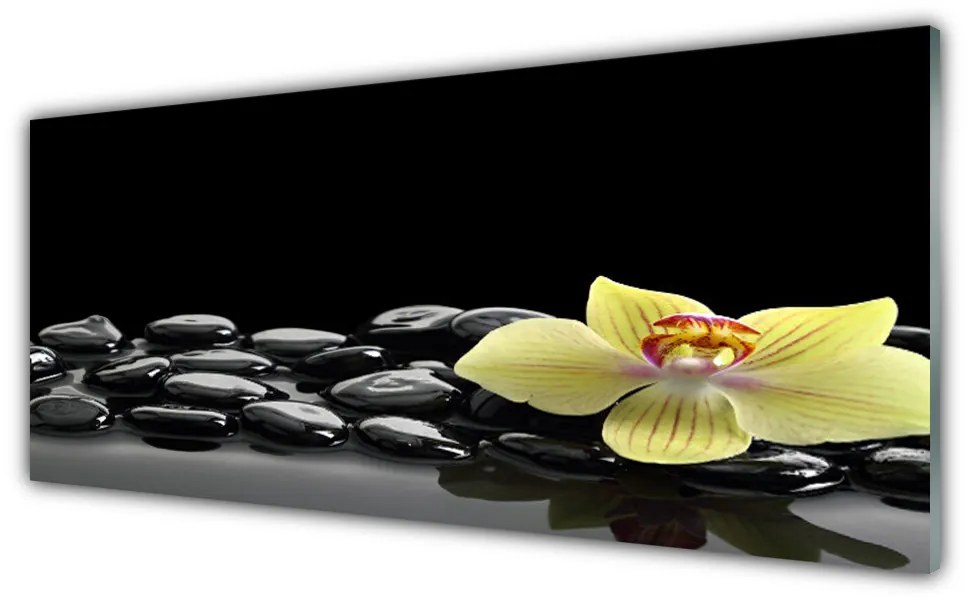 Obraz plexi Kvet kamene kuchyňa 125x50 cm