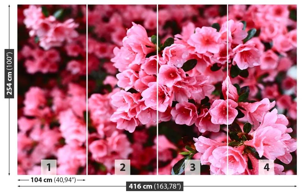 Fototapeta Vliesová Ružový rododendron 250x104 cm