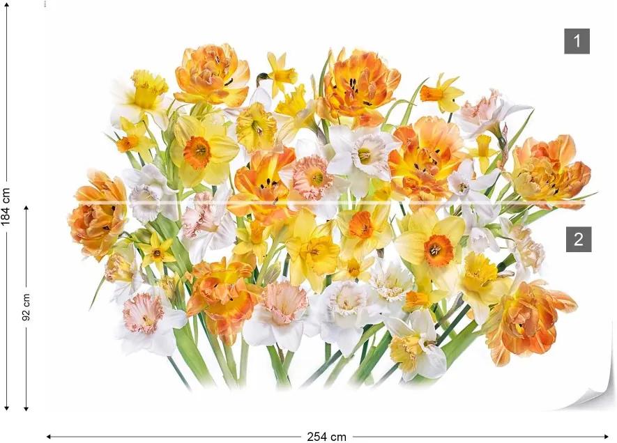 GLIX Fototapeta - High Angle View Of Flowering Plant Against White Background Vliesová tapeta  - 254x184 cm
