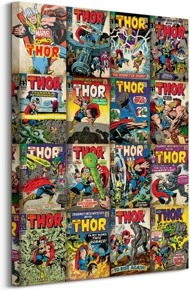 Obraz na plátne Marvel Thor Covers 60x80cm WDC99218