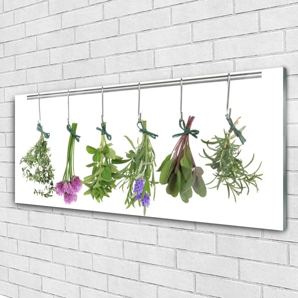 Obraz plexi Plátky rastlina kuchyňa 125x50 cm