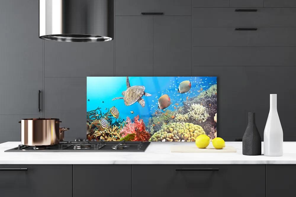 Nástenný panel  Koralový útes krajina 120x60 cm