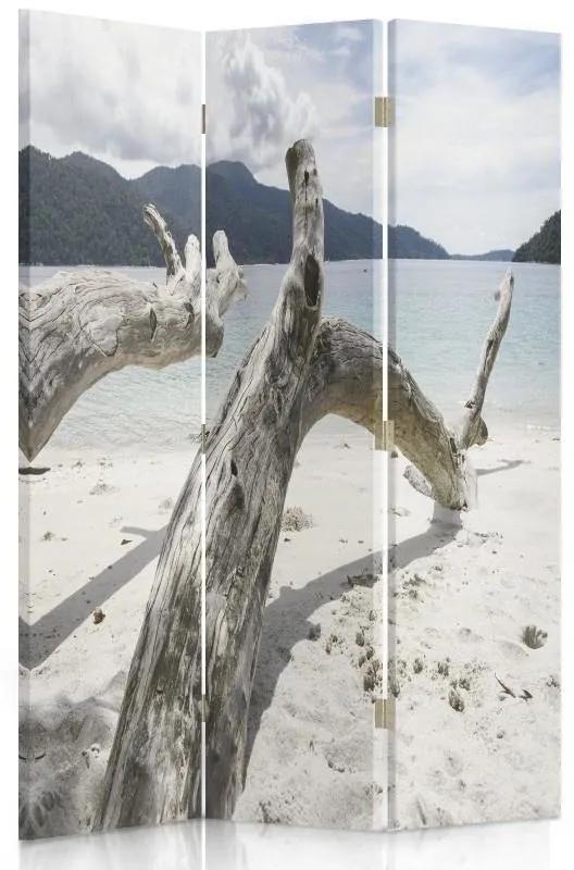 Ozdobný paraván, Větve stromů na tropické pláži - 110x170 cm, trojdielny, obojstranný paraván 360°