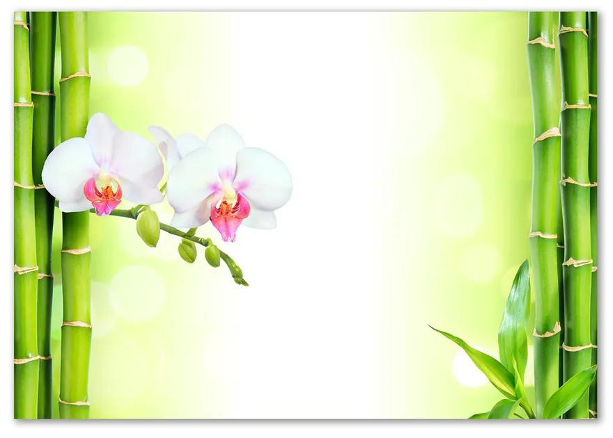 Fotoobraz na skle Orchidea a bambus pl-osh-100x70-f-82165838