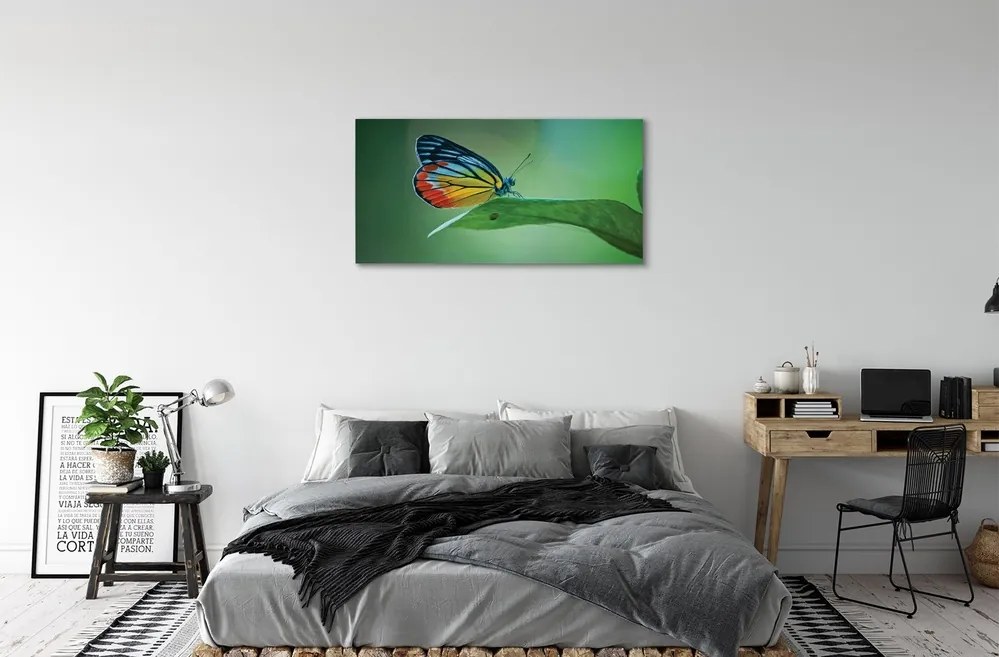 Obraz na plátne Farebný motýľ krídlo 120x60 cm